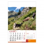 Kalendarze wieloplanszowe na rok 2024 Wild life (zdjęcie 11)