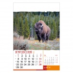 Kalendarze wieloplanszowe na rok 2024 Wild life (zdjęcie 7)