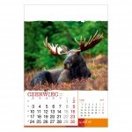 Kalendarze wieloplanszowe na rok 2024 Wild life (zdjęcie 8)