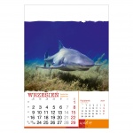 Kalendarze wieloplanszowe na rok 2024 Wild life (zdjęcie 9)