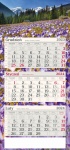 Kalendarz trójdzielny płaski na rok 2025 Krokusy