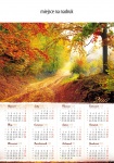 kalendarz scienny A1 Leśna ścieżka