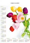 kalendarz ścienny na rok 2015 Tulipany