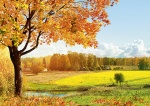 kalendarz trójdzielny standardowy Jesienna łąka