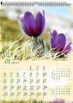kalendarze_spiralowane z okresu: 2010/01/02/id:f7e849d3-22dd-b7d4-5972-0761e3130b68.jpg
